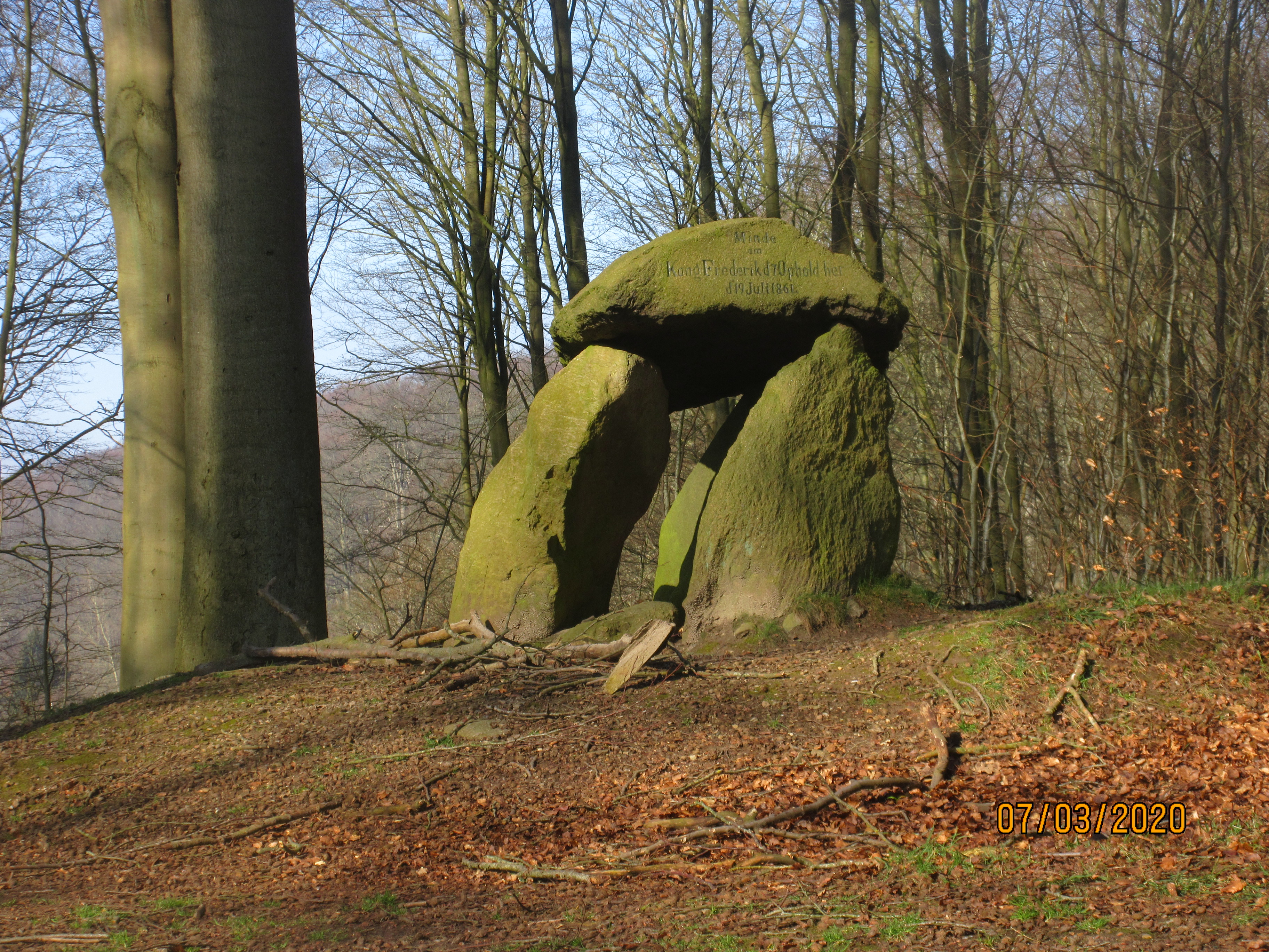 Nørreskov Vejle  07.03.2020