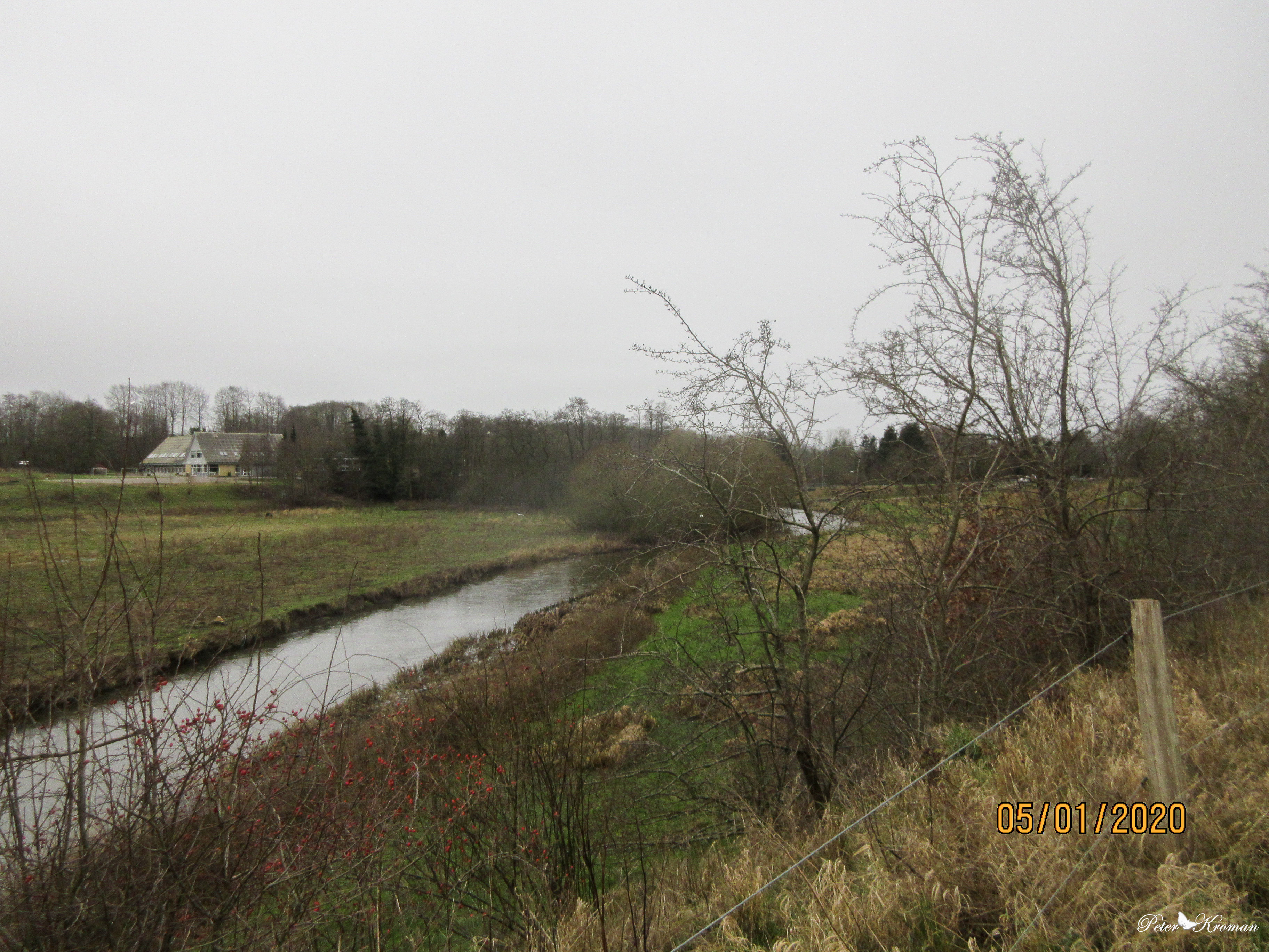 My Image
