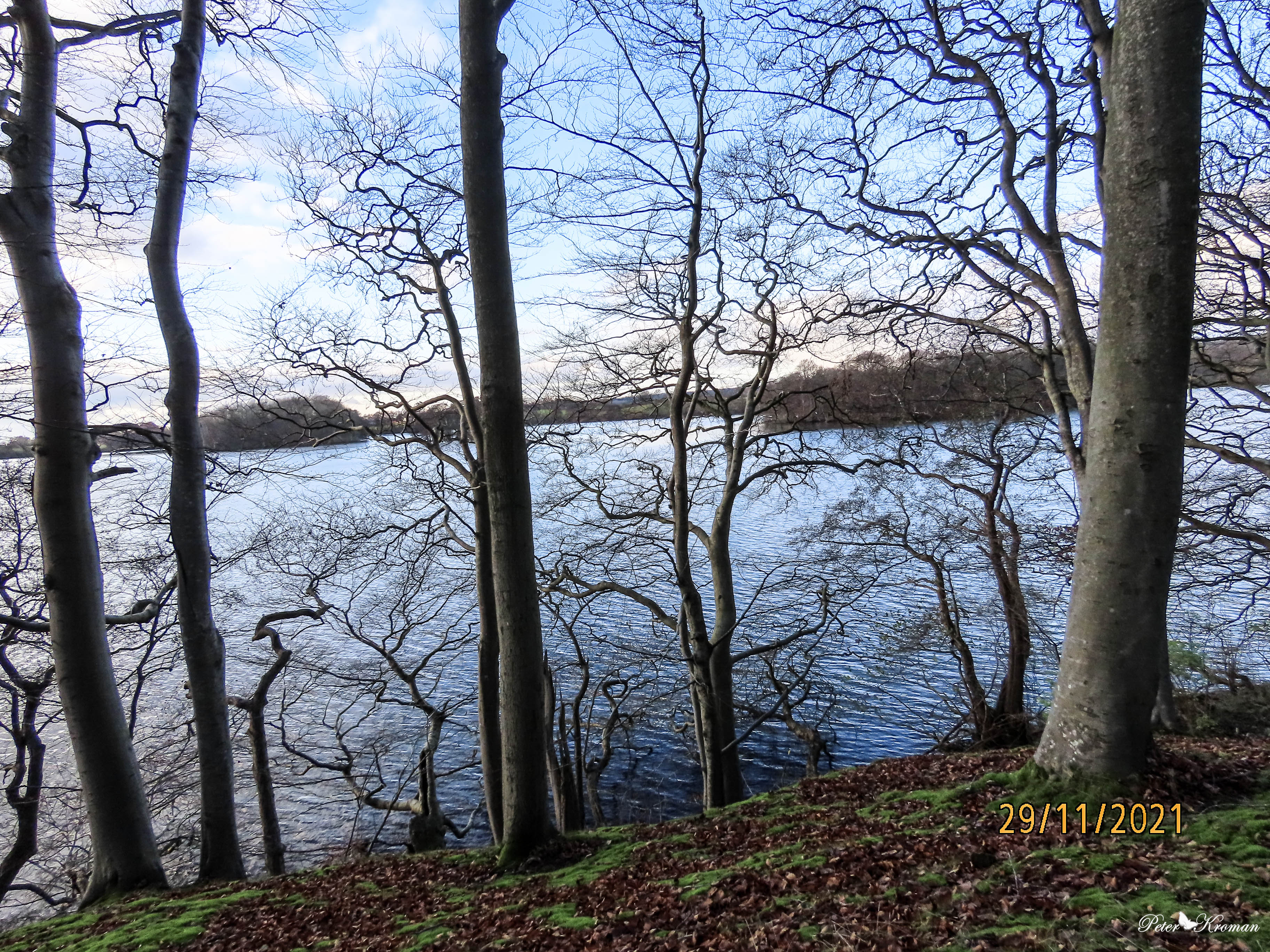 My Image