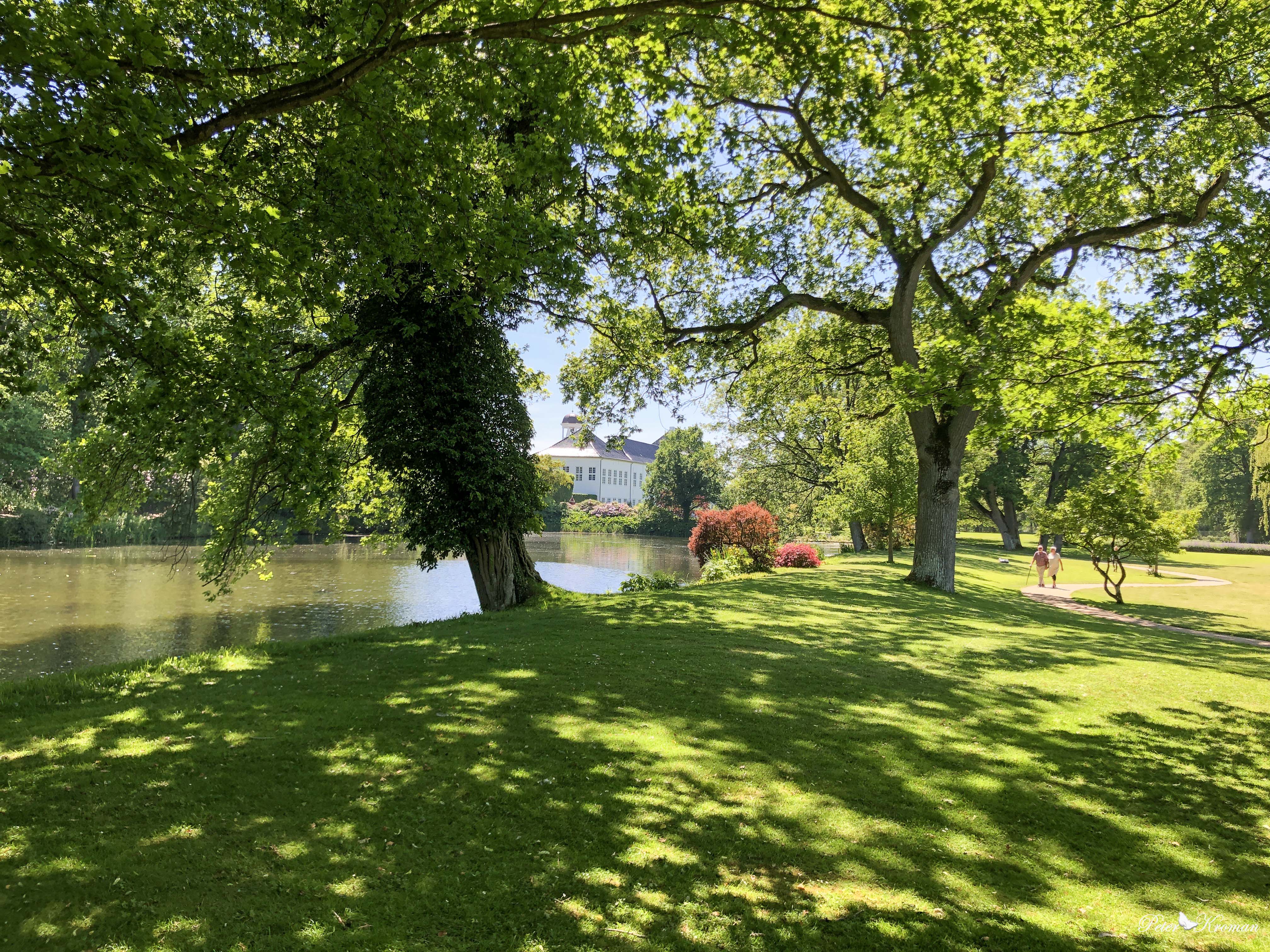 My Image