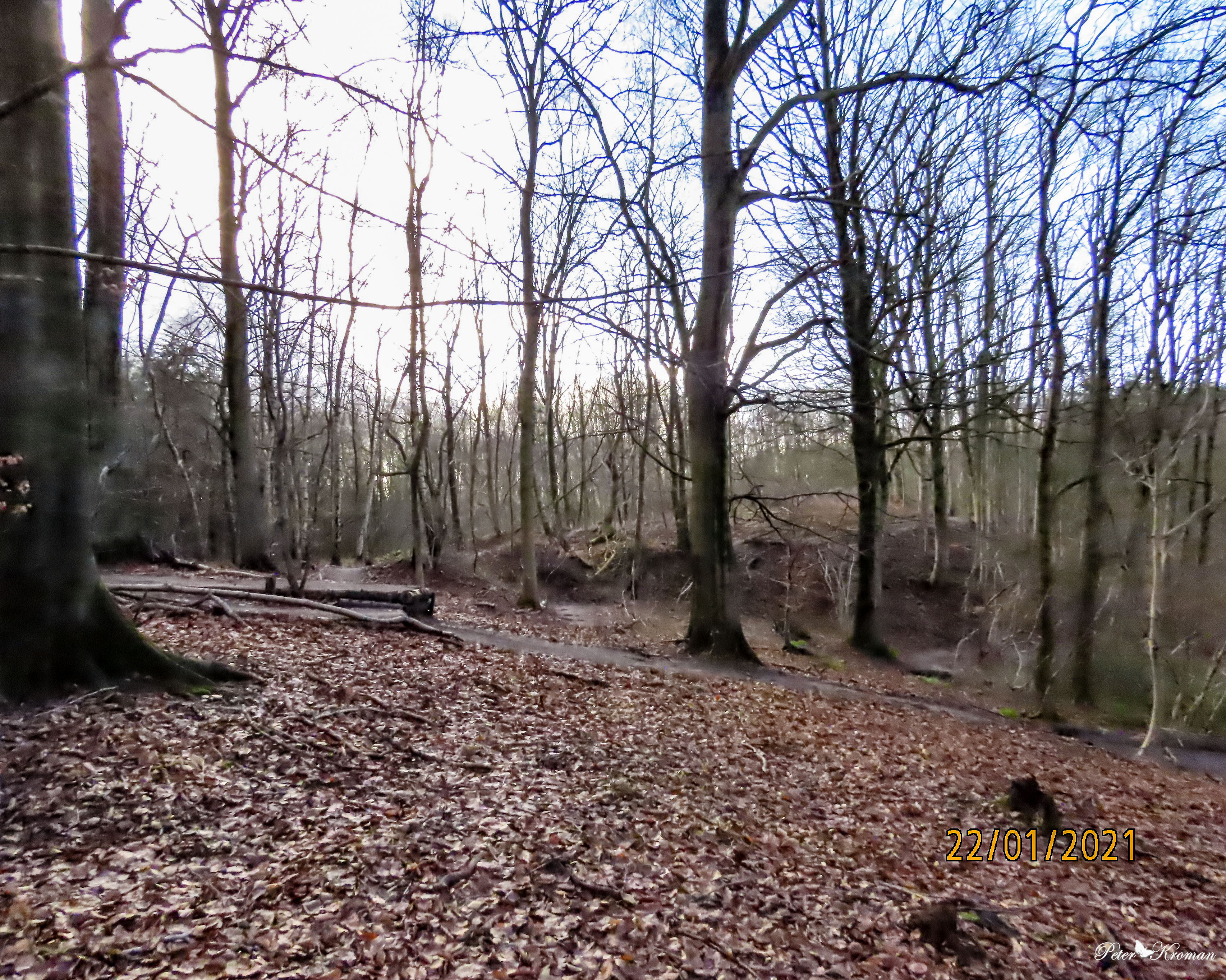 My Image