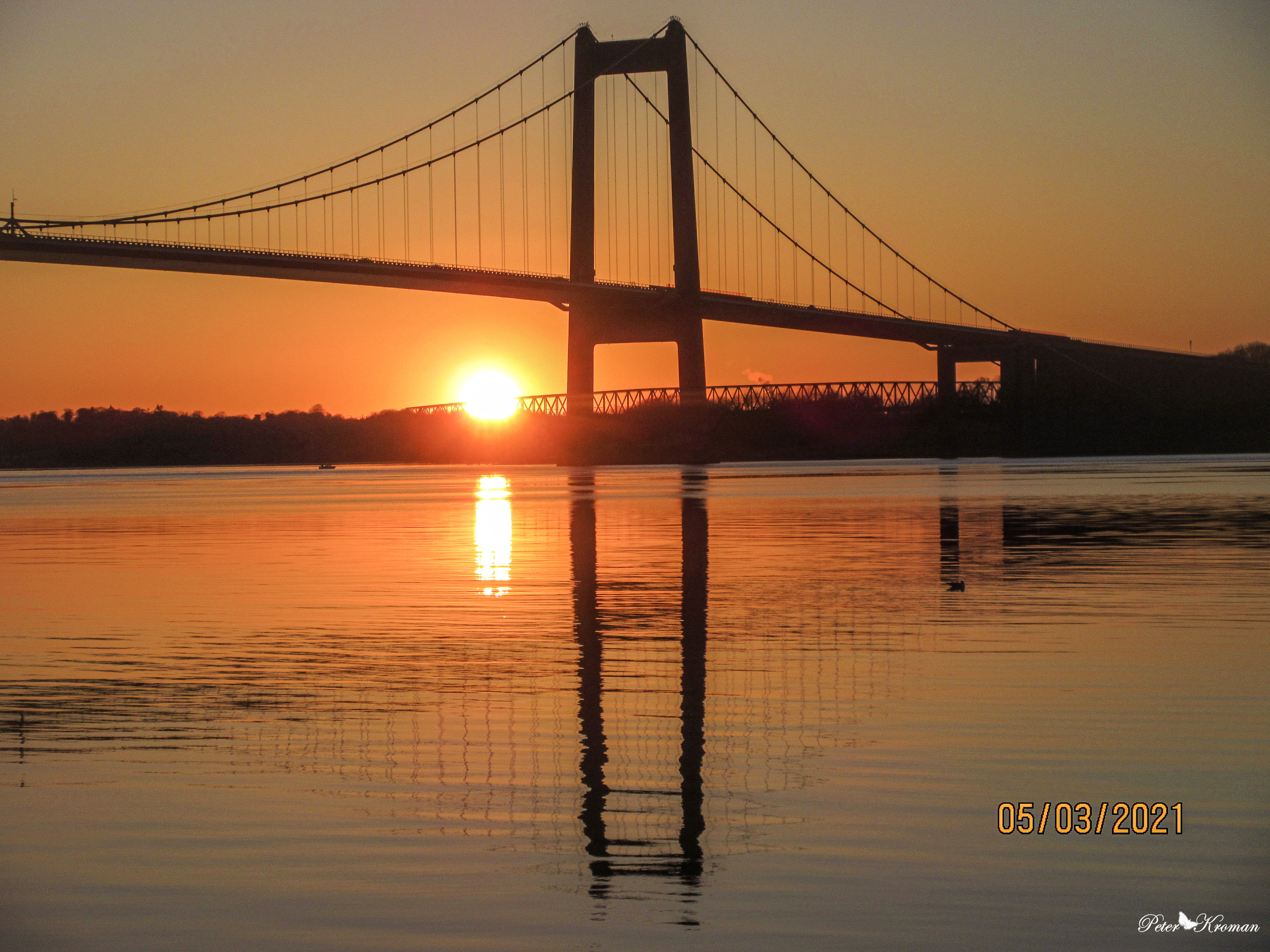 My Image