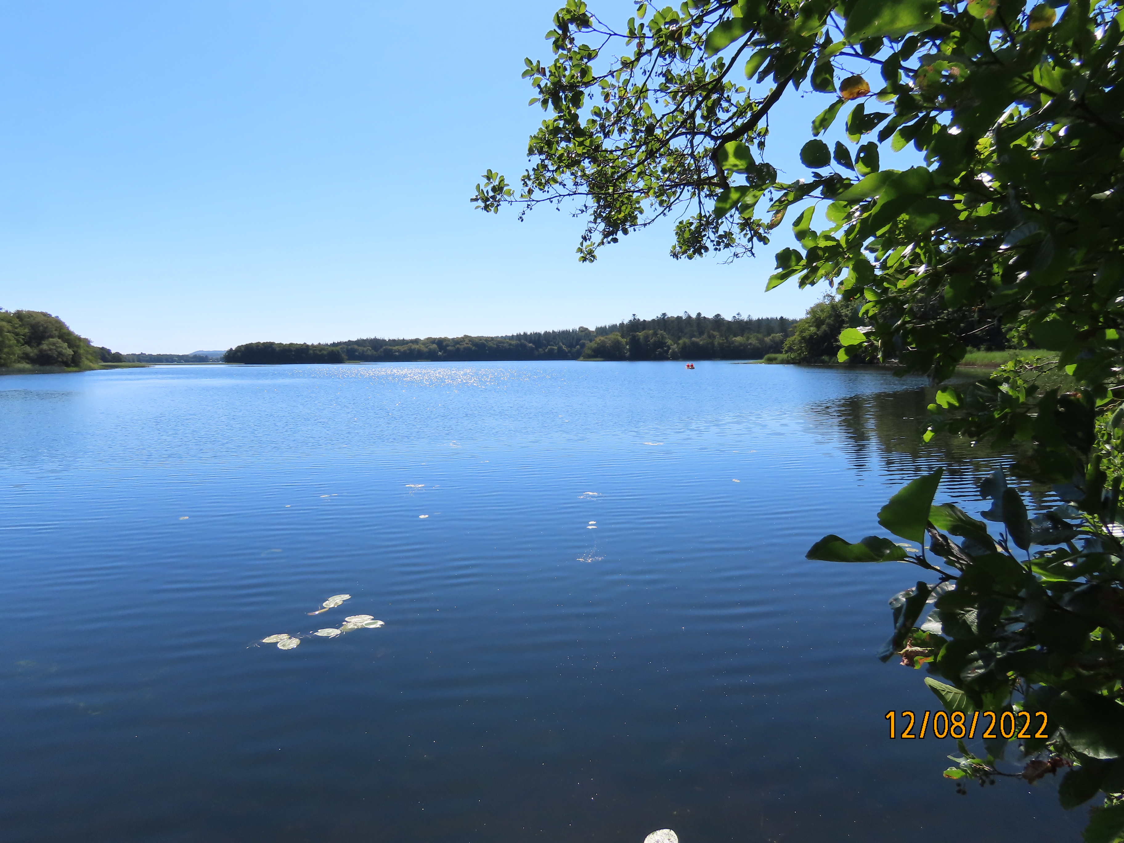 Avnsø, Silkeborgsøerne