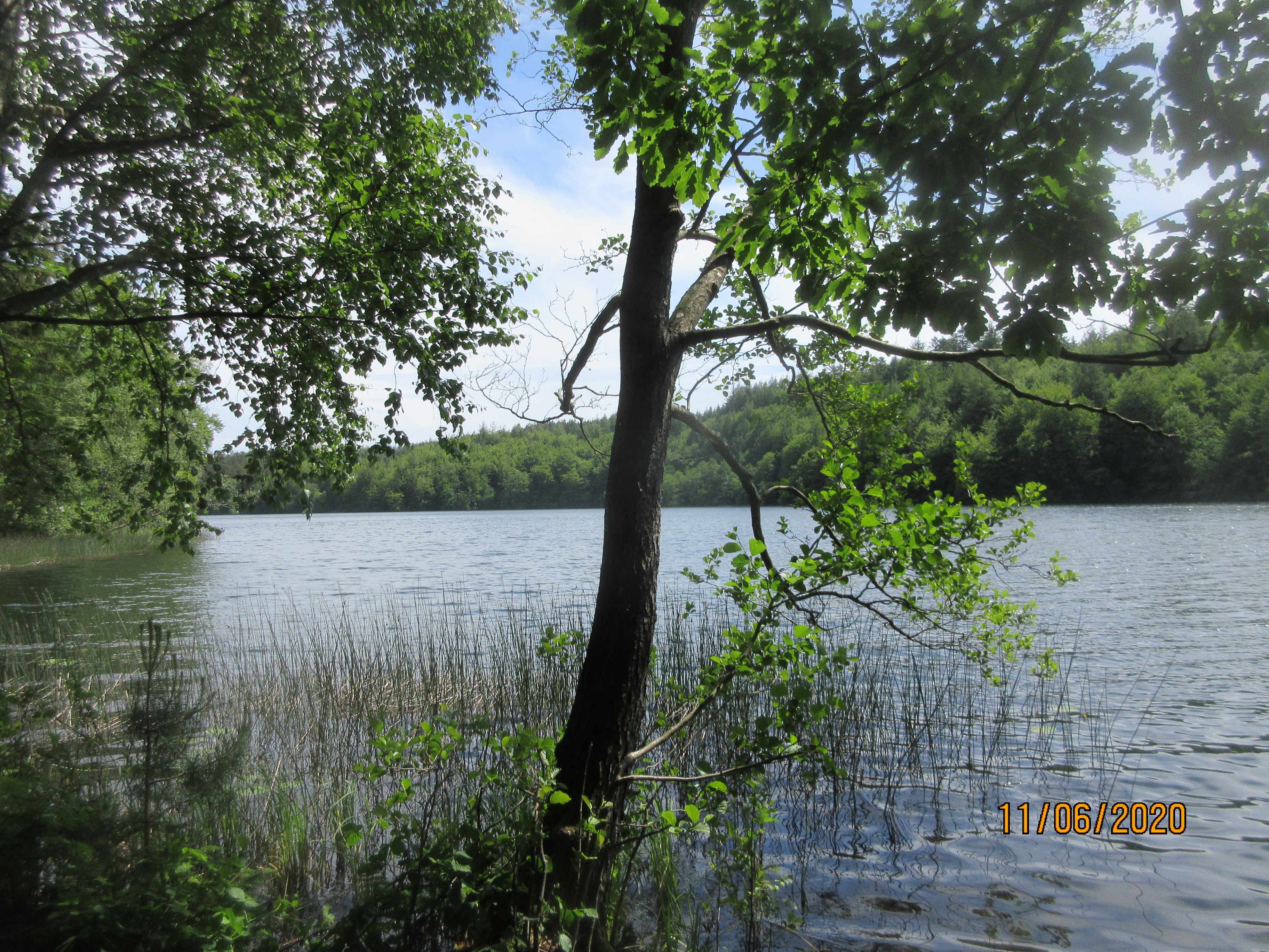 Slåen Sø 11.06.2020